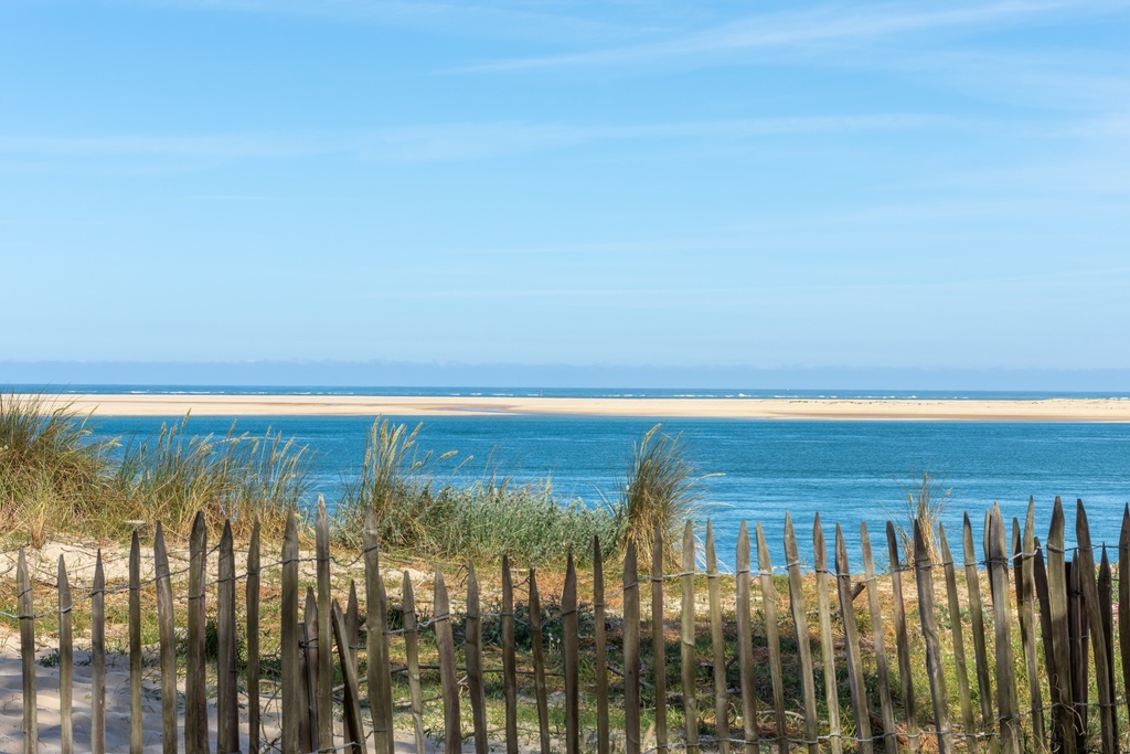 Clôture ganivelle châtaignier rlx 10m (100cm)